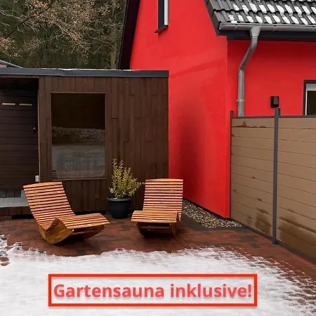 Red Kite Ribnitz-Damgarten